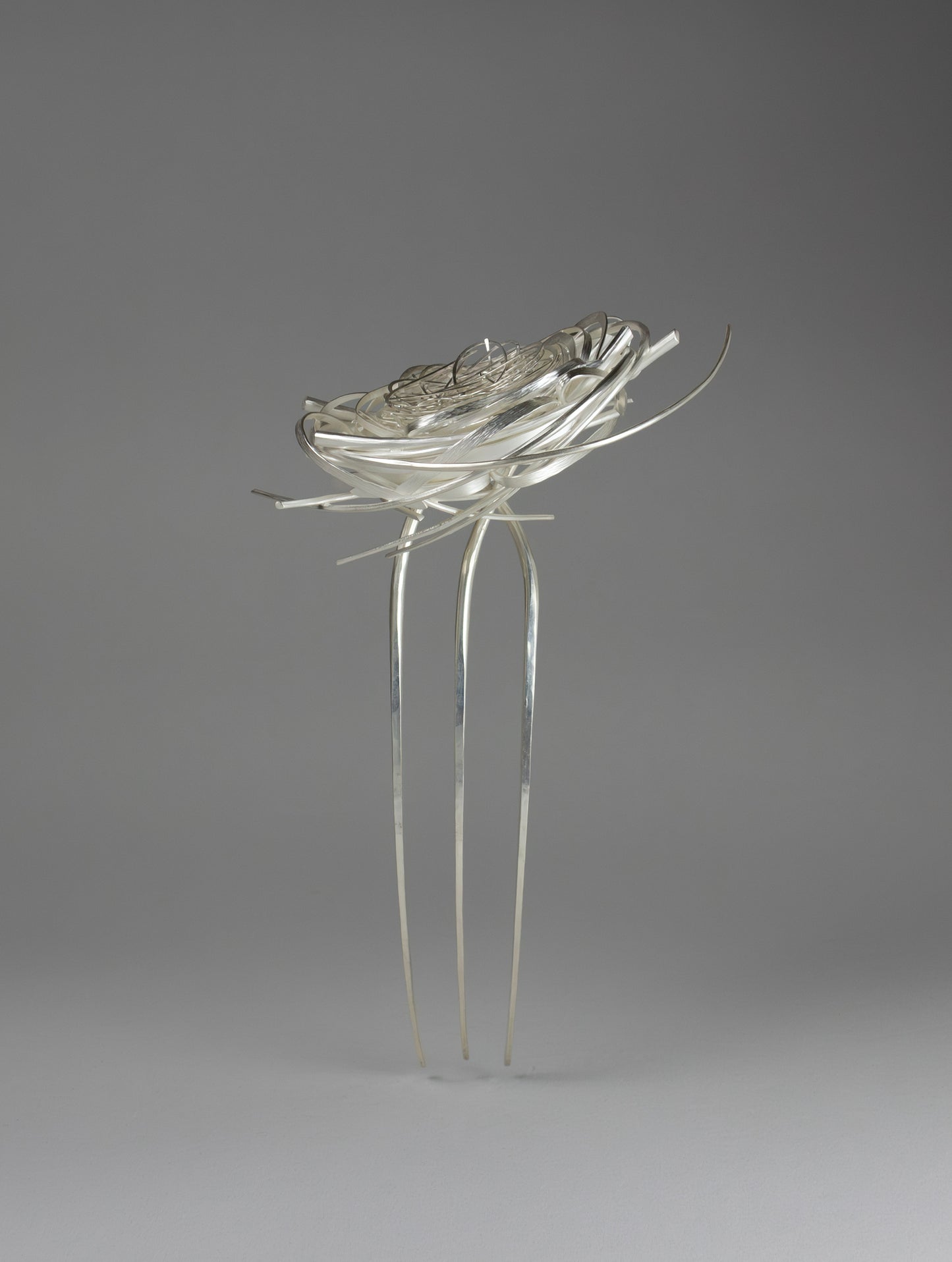 Settling Nest - Heather Bayless