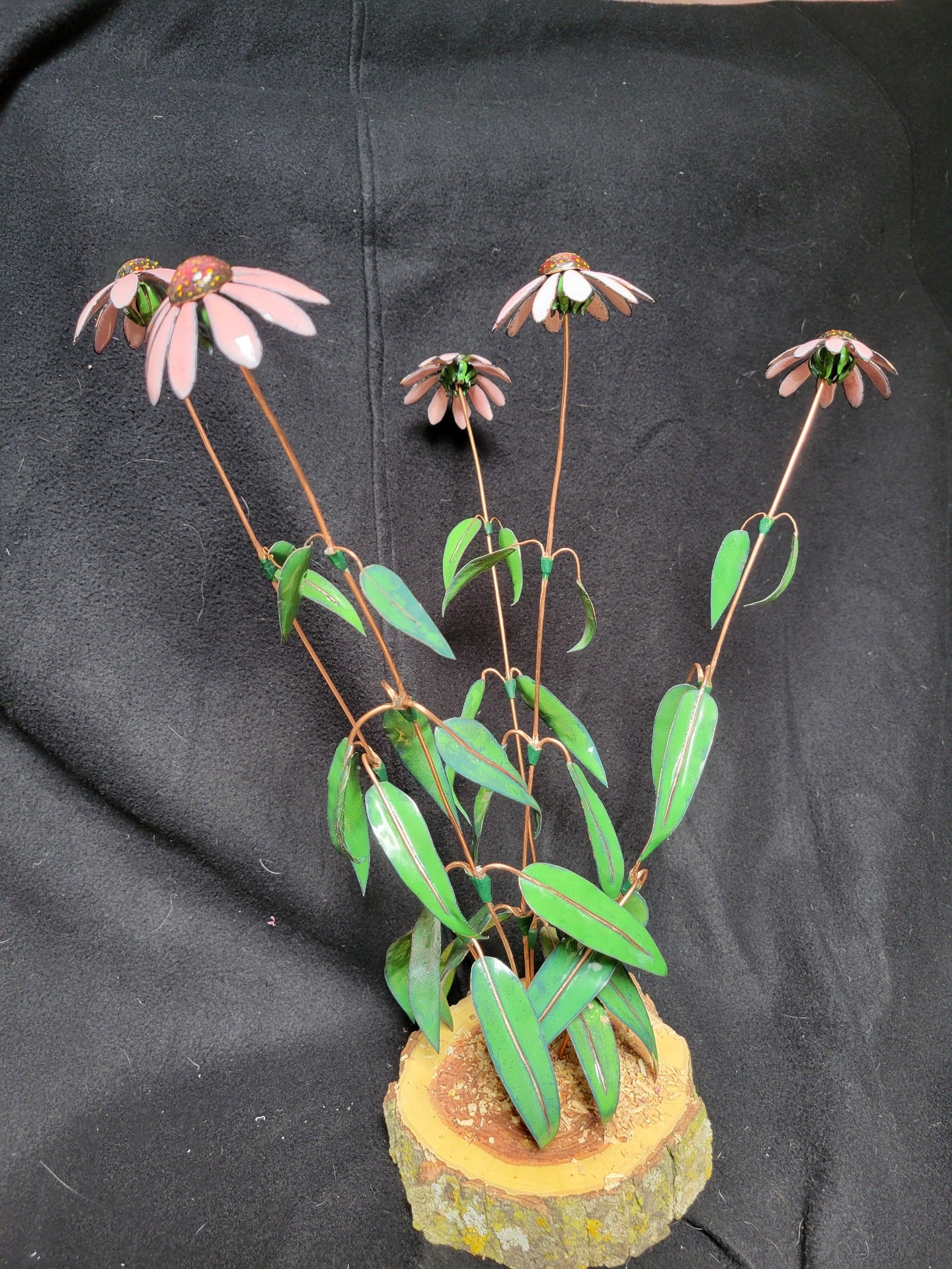 Enameled Coneflowers - 2 - Bruce Chapin