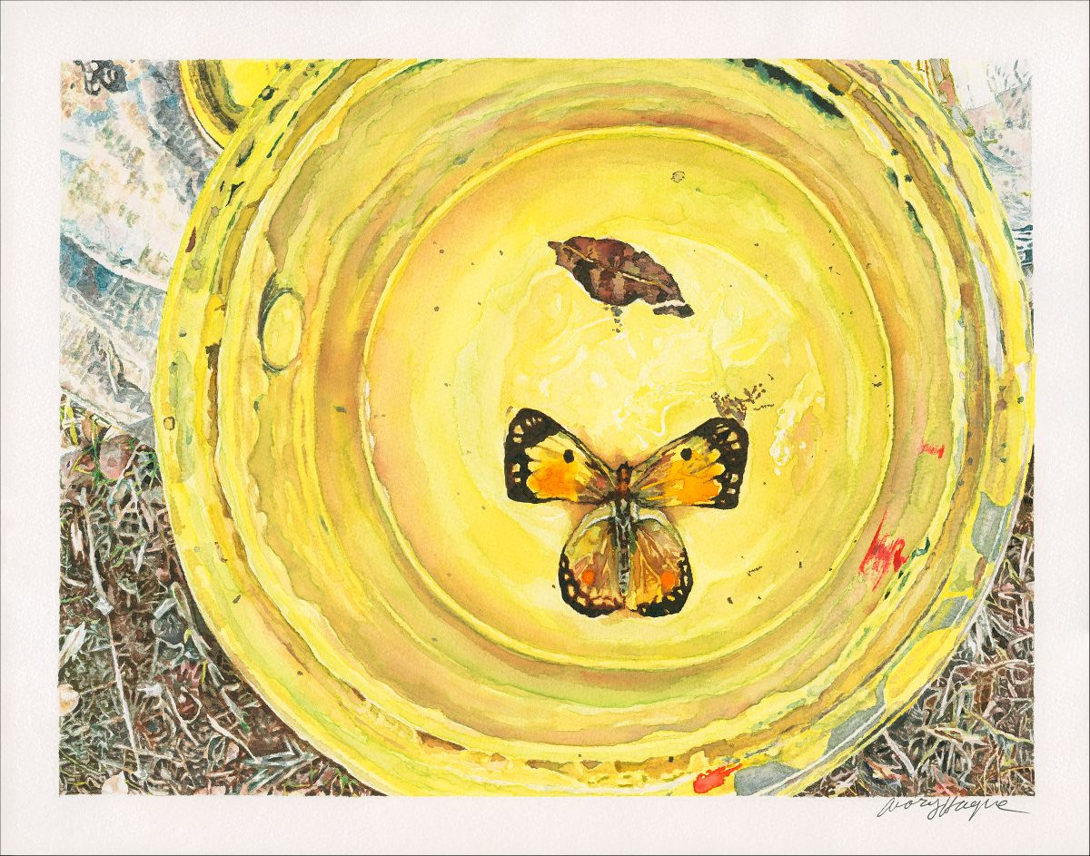 Butterfly in My Paint Can - Avary Hague