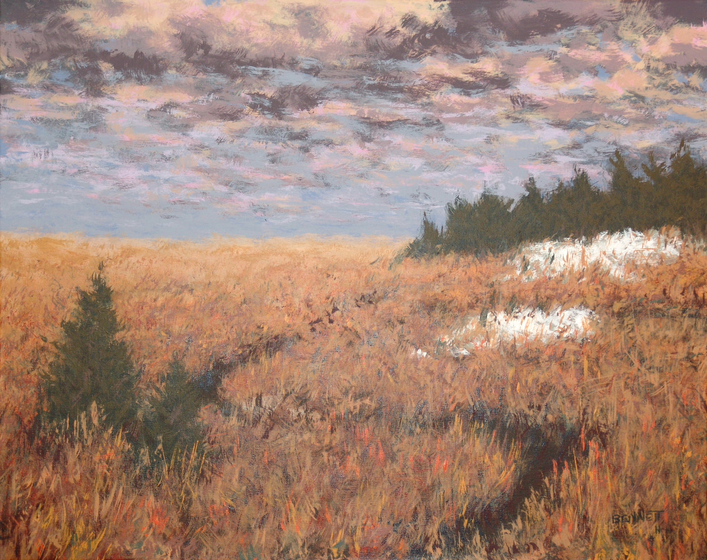 Flint Hills Abstract No.6 - Randall Bennett