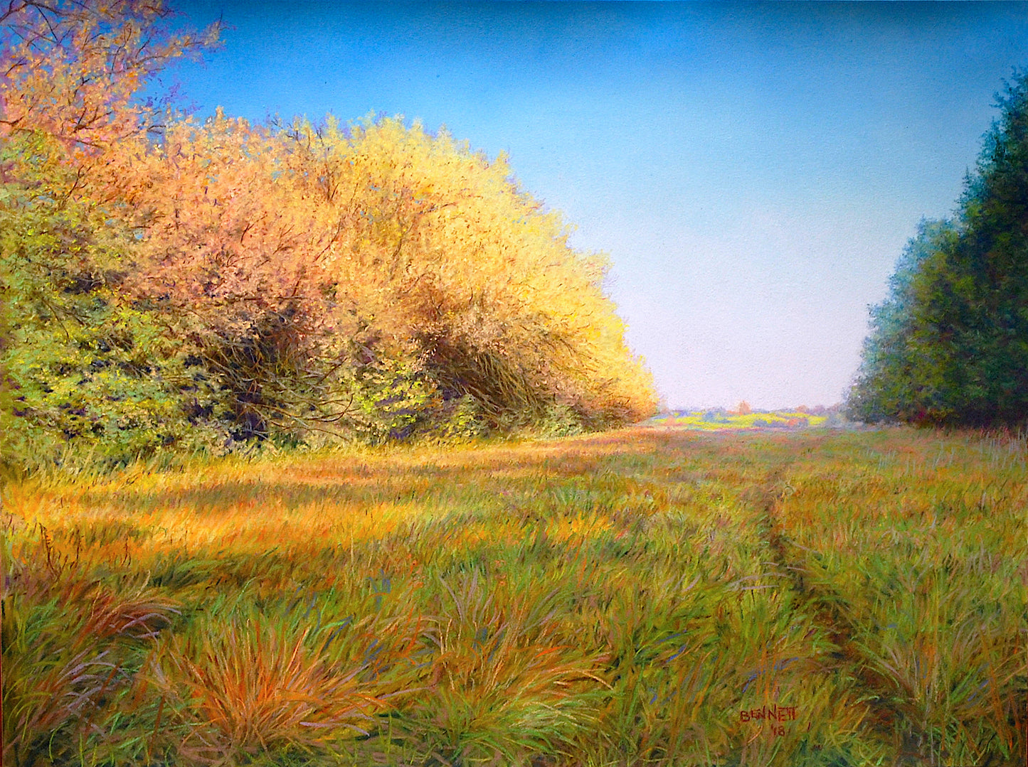 A Deer Trail Along a Hedge Row - Randall Bennett