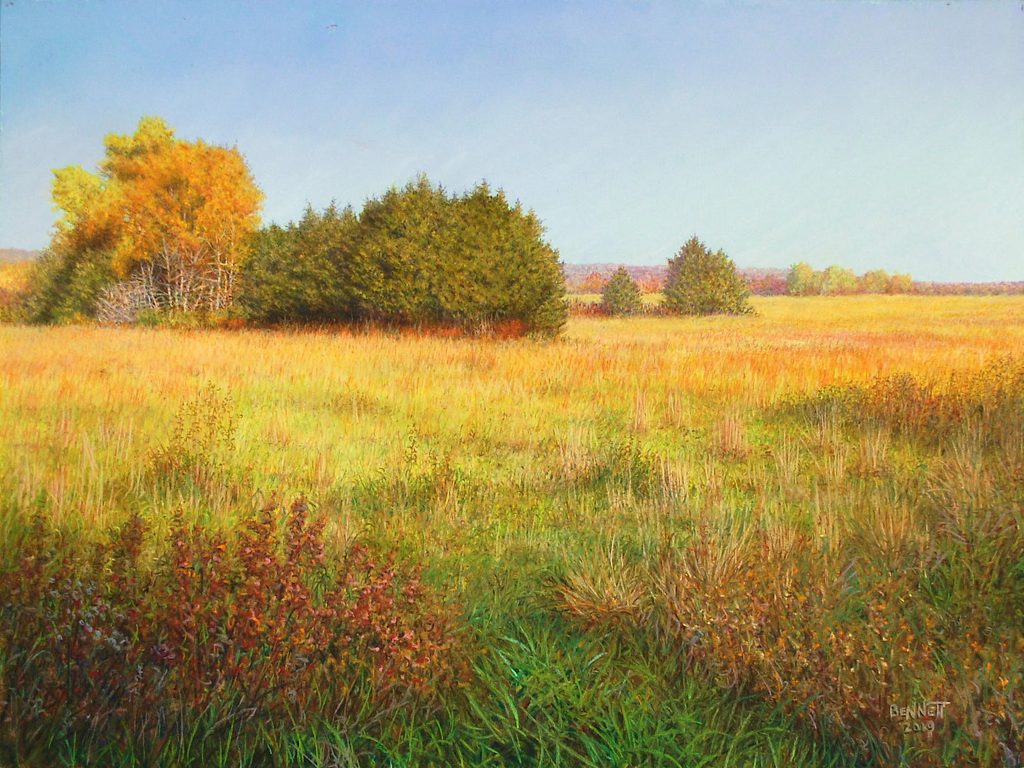 Autumn Colors in the Hayfield - Randall Bennett