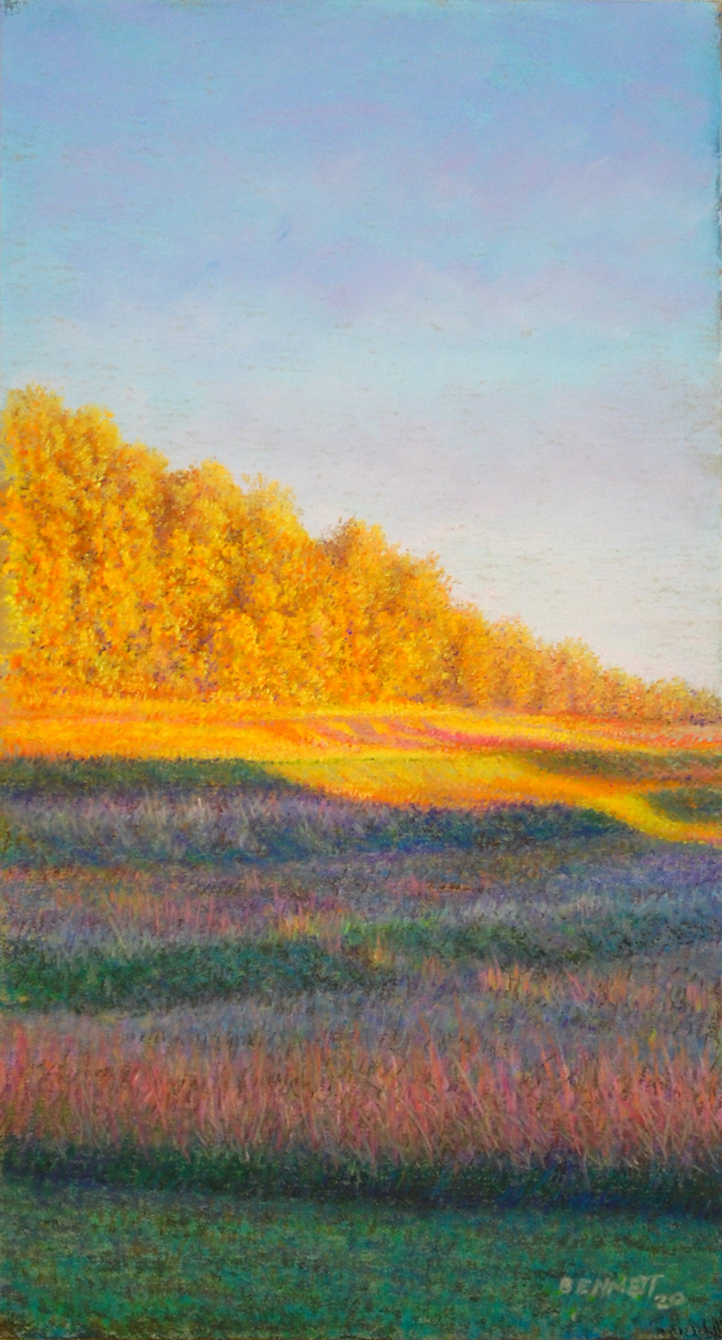 The Terraces at Sundown - Randall Bennett