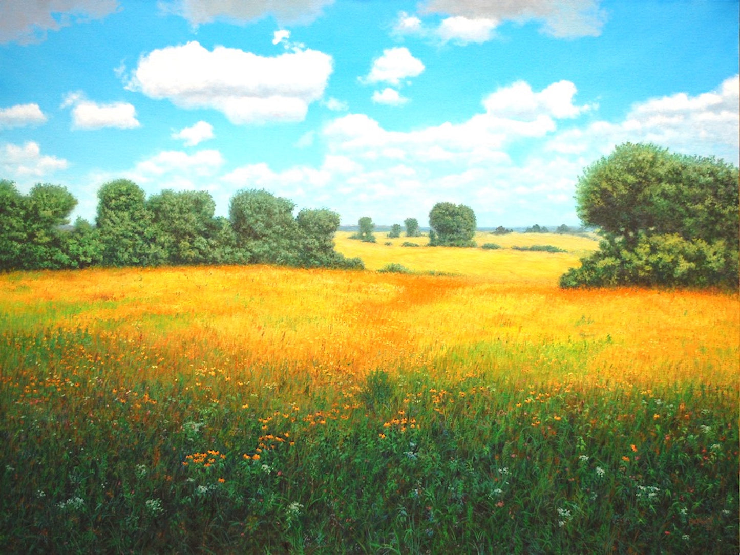 Cloud Shadows on the Prairie Hay - Randall Bennett