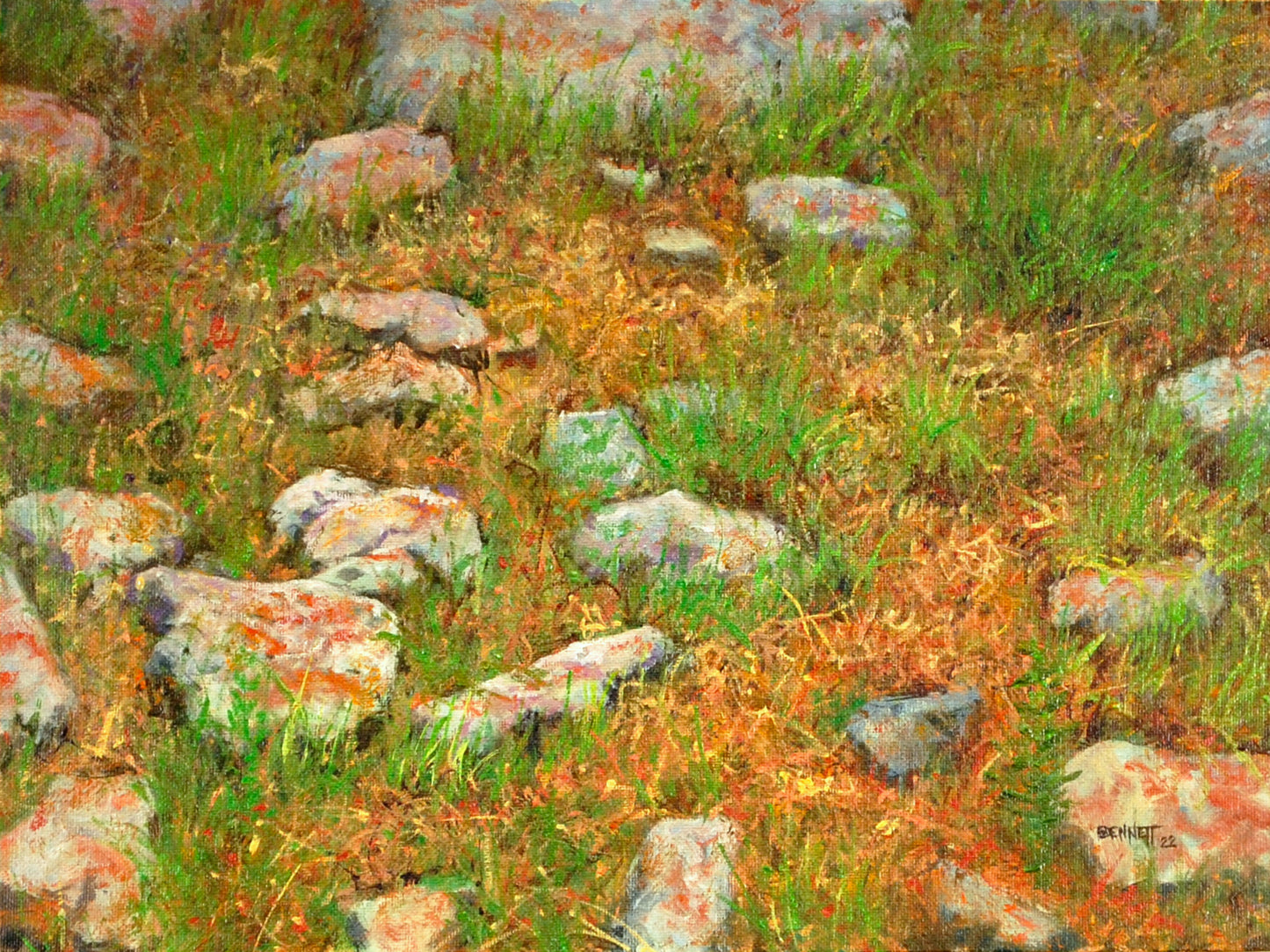 Red Lichen, Flint Hills Stone - Randall Bennett