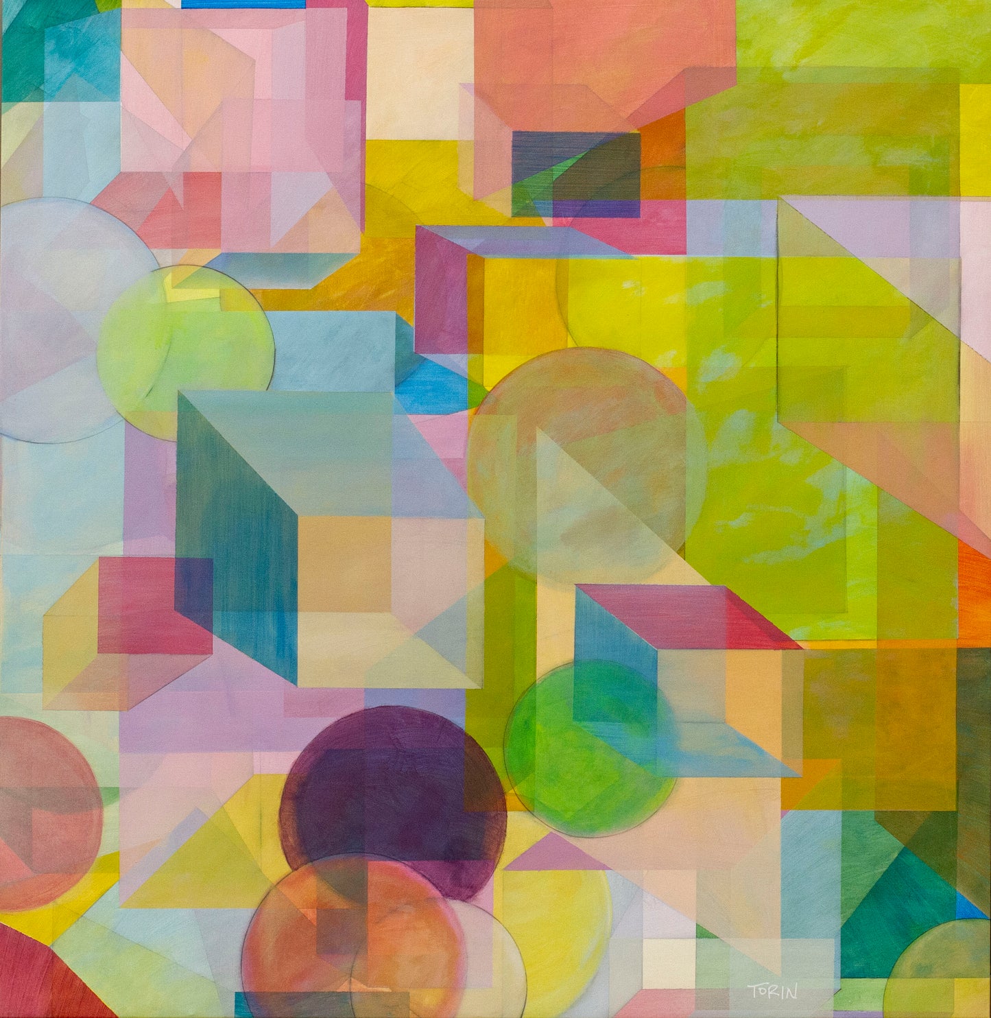 Case for the Future - Torin Andersen