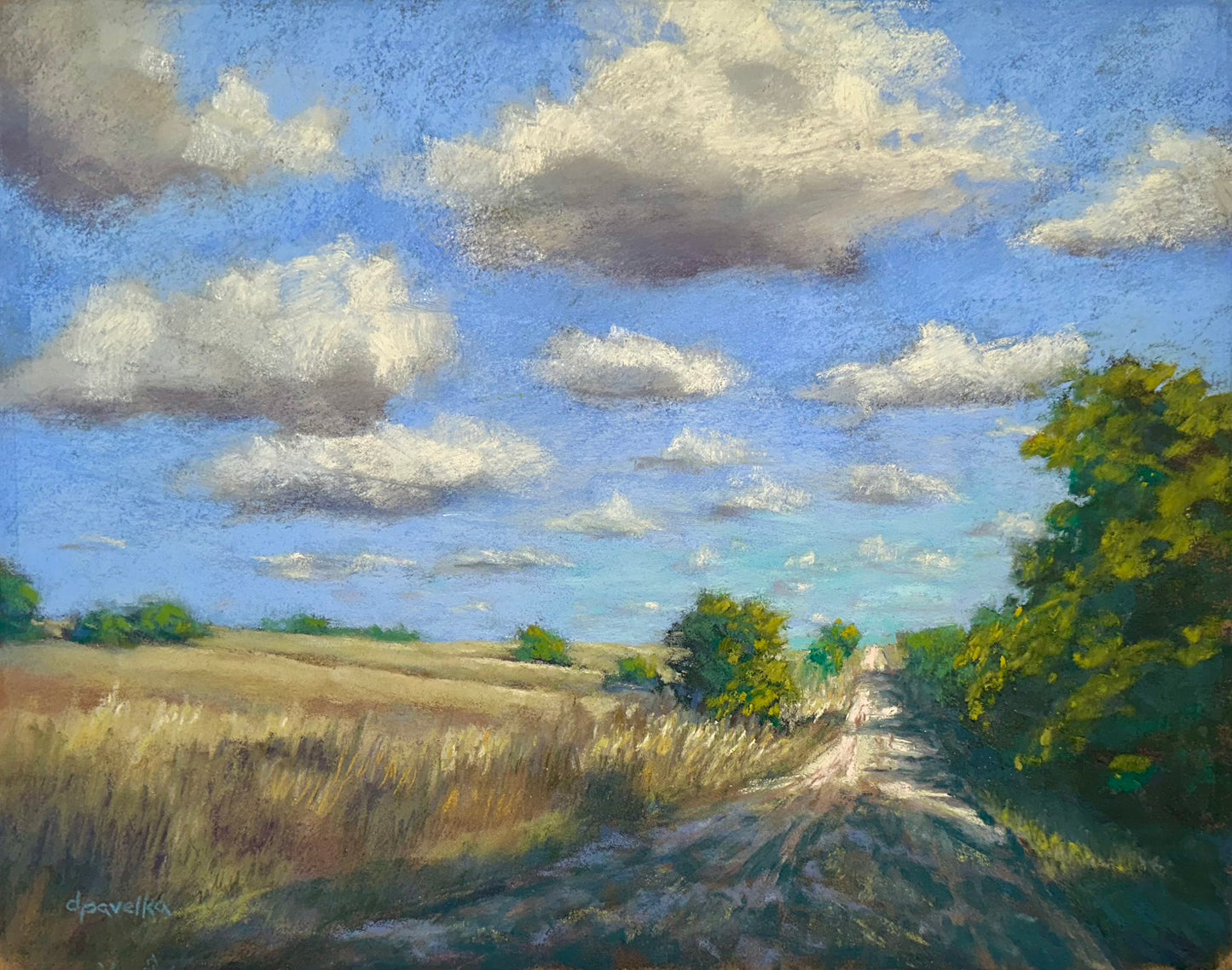 Summer on Mentor Road - Diane Pavelka