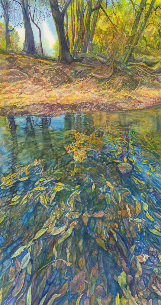 Lost Spring Reflections - Susan Bartel