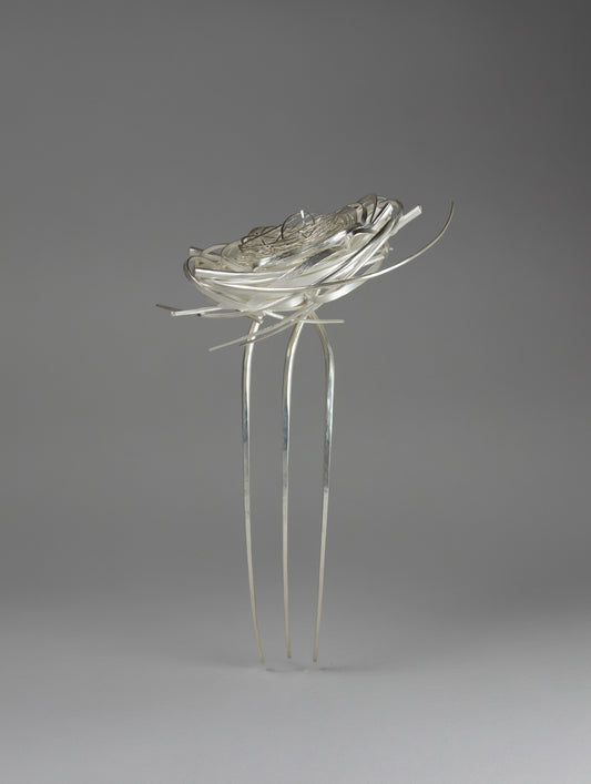 Settling Nest - Heather Bayless