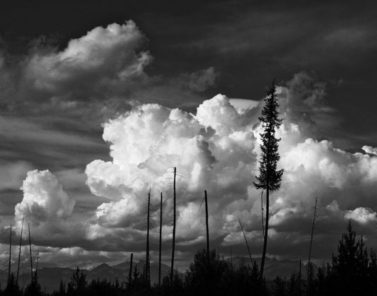 Beaudine - Glacier National Park