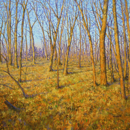 Bennett - A Late Winter Woods