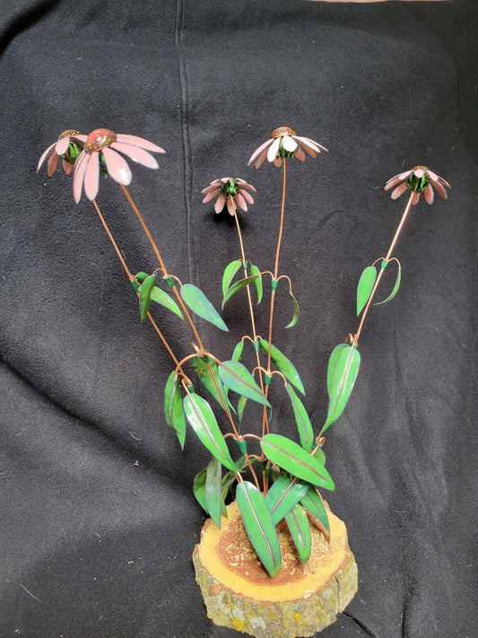 Enameled Coneflowers - 2 - Bruce Chapin