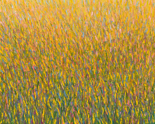 Clemente - Field of Dreams