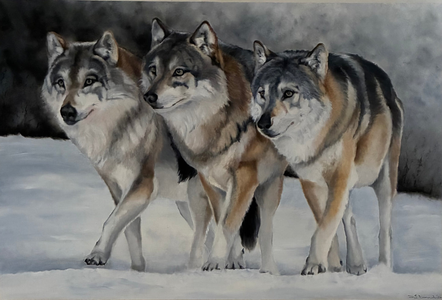 Darrah - Wolf Pack - Carefree, Curious, Cautious