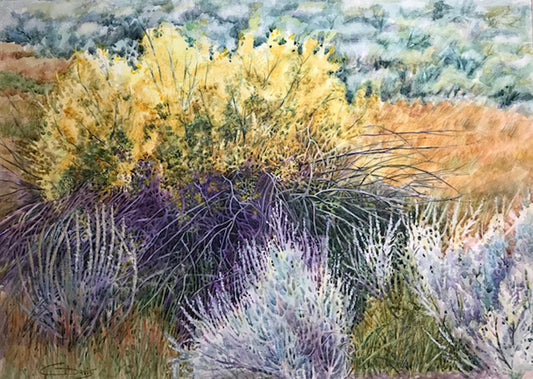 Davis - Chamisa Landscape