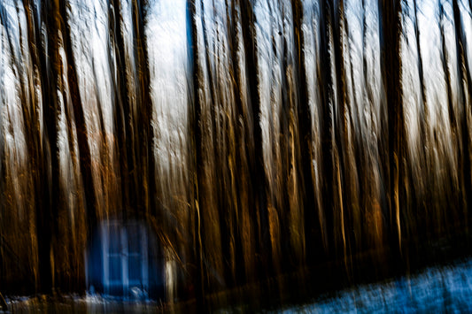 Dusterwald - Abstract 1