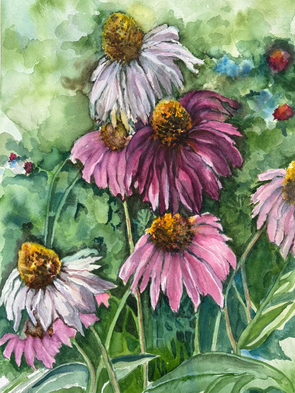 Coneflowers-Jo Fey
