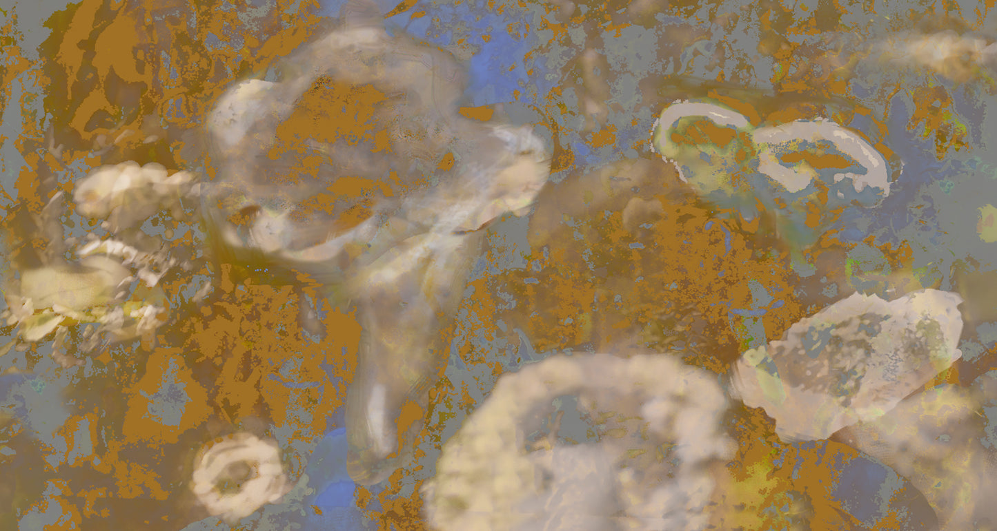 Friars - Cladonia III