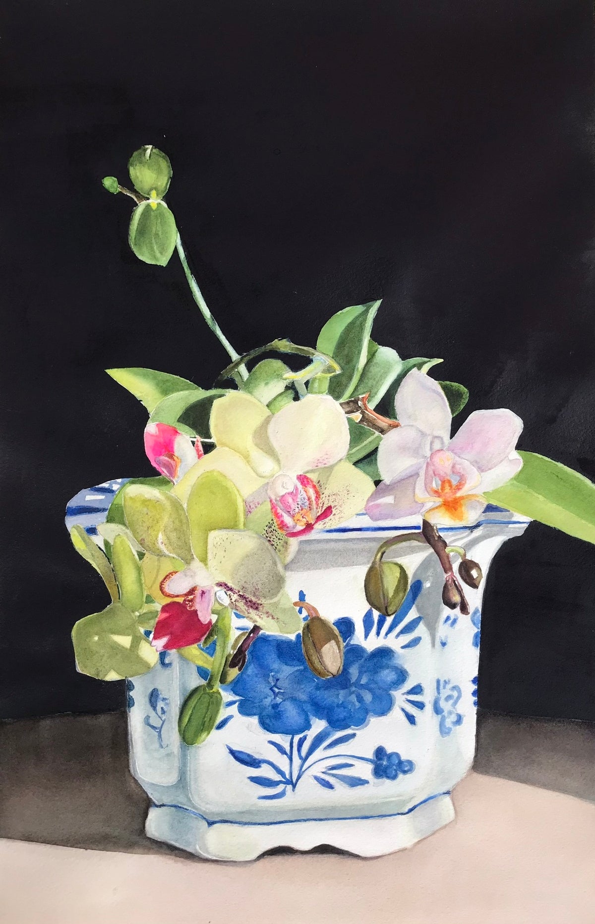 An Orchid, 2026-Mary Grene