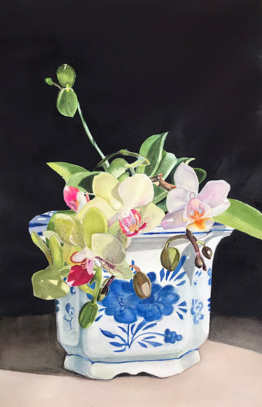 An Orchid, 2026-Mary Grene