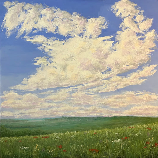 Flint Hills Wonder - Barbara Gabel