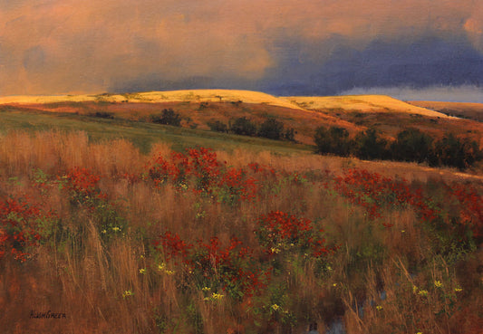 Greer - Dawns Early Light