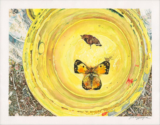 Butterfly in My Paint Can - Avary Hague
