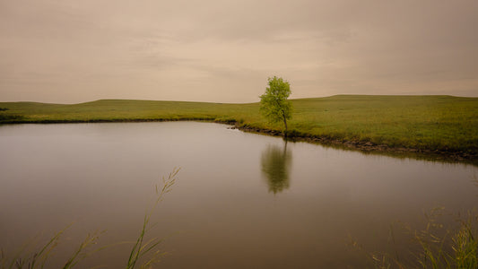 Herrera - The Flint Hills in Kansas