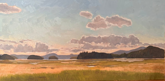 Hildreth - Raquette Pond Marsh