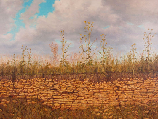 Roadside Sunflowers - Randall Bennett