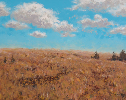 Flint Hills Abstract No.5 - Randall Bennett
