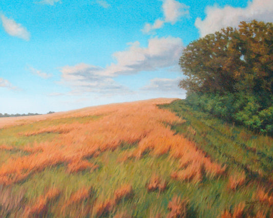 The CRP Trail - Randall Bennett