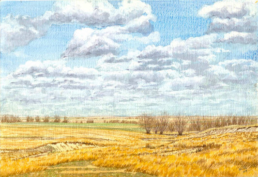 Study-Golden Grass in the Draw - Randall Bennett