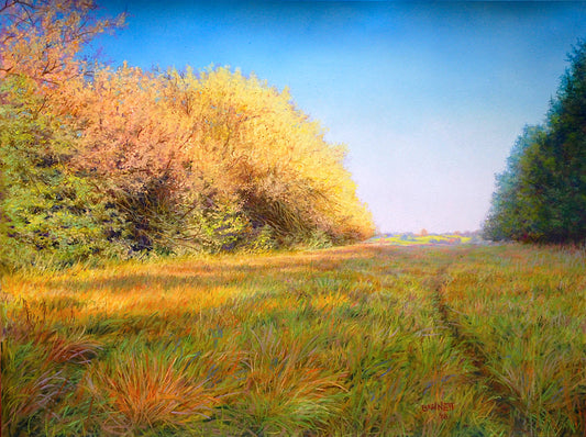 A Deer Trail Along a Hedge Row - Randall Bennett