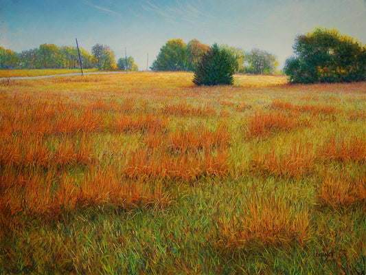 Sunrise Behind the Tree Line - Randall Bennett