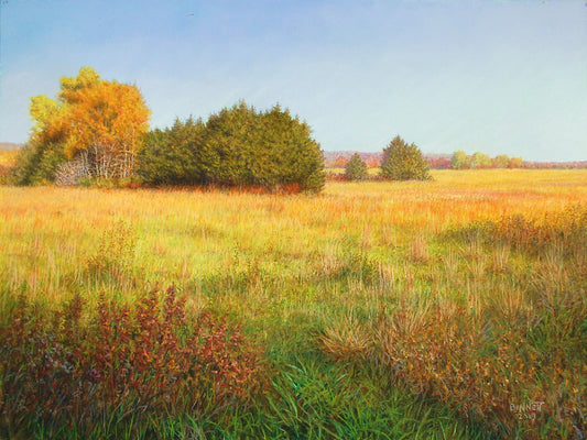 Autumn Colors in the Hayfield - Randall Bennett