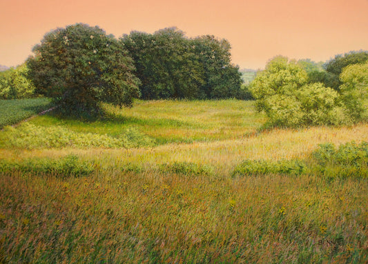 The Upper Wetland - Randall Bennett