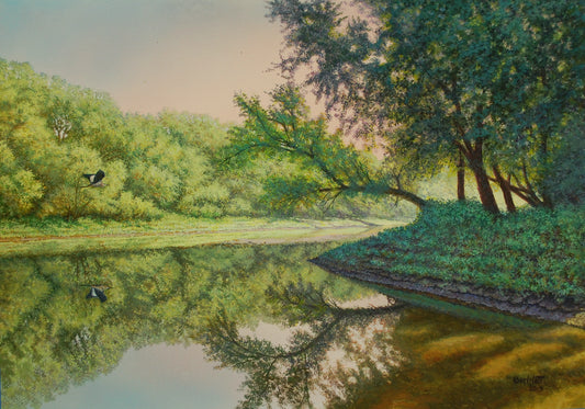 River Reflections - Randall Bennett
