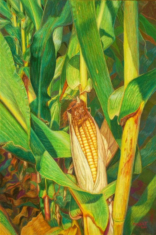 The Golden Ear - Randall Bennett