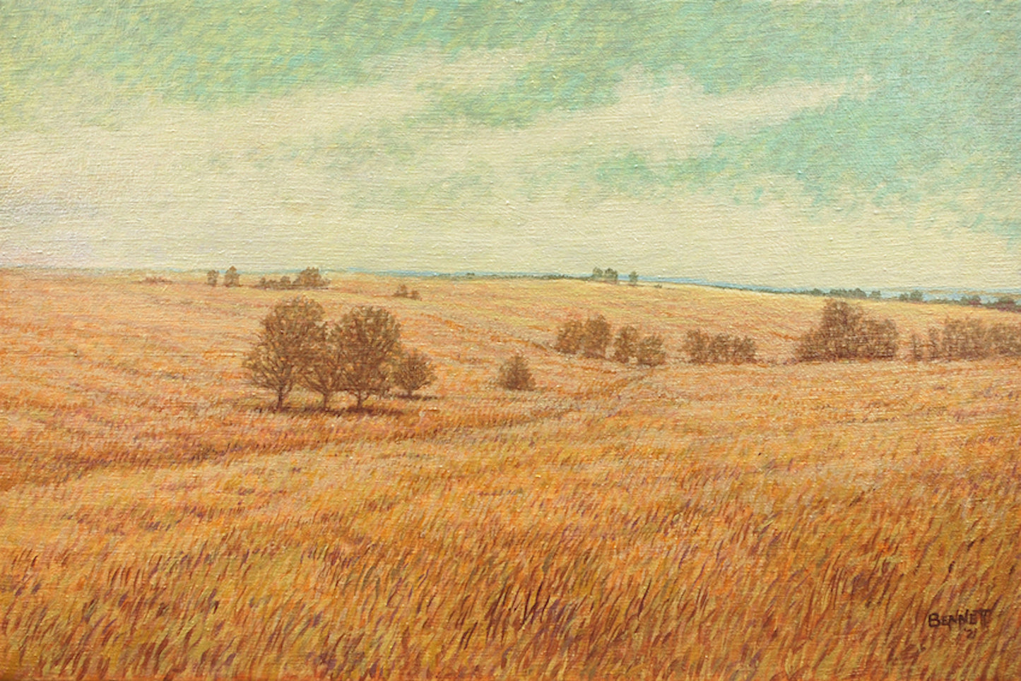 Late Winter Prairie - Randall Bennett