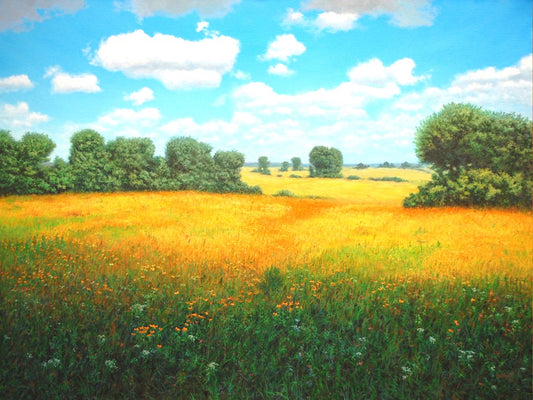 Cloud Shadows on the Prairie Hay - Randall Bennett