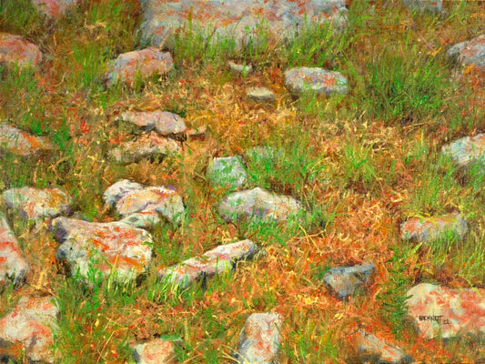 Red Lichen, Flint Hills Stone - Randall Bennett