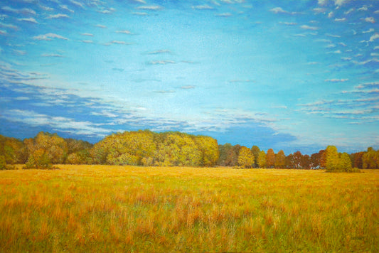 A Cloud Front Over Evening Pasture - Randall Bennett