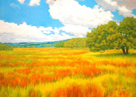 Osage Orange and Red Bluestem - Randall Bennett
