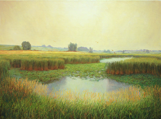 Morning Commute, Prairie Wetland - Randall Bennett