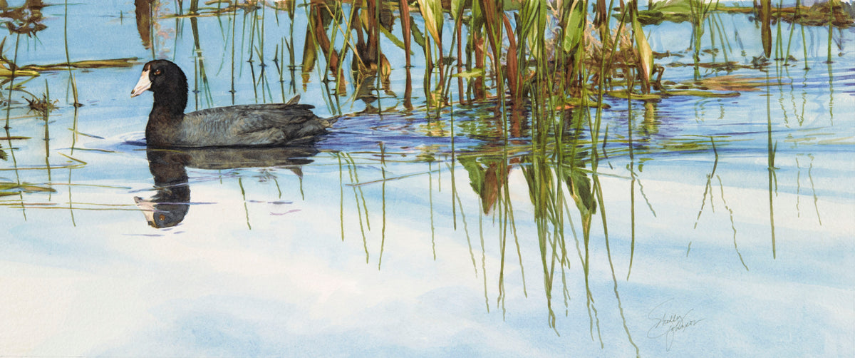 Trailing Water-Shelly Johnson