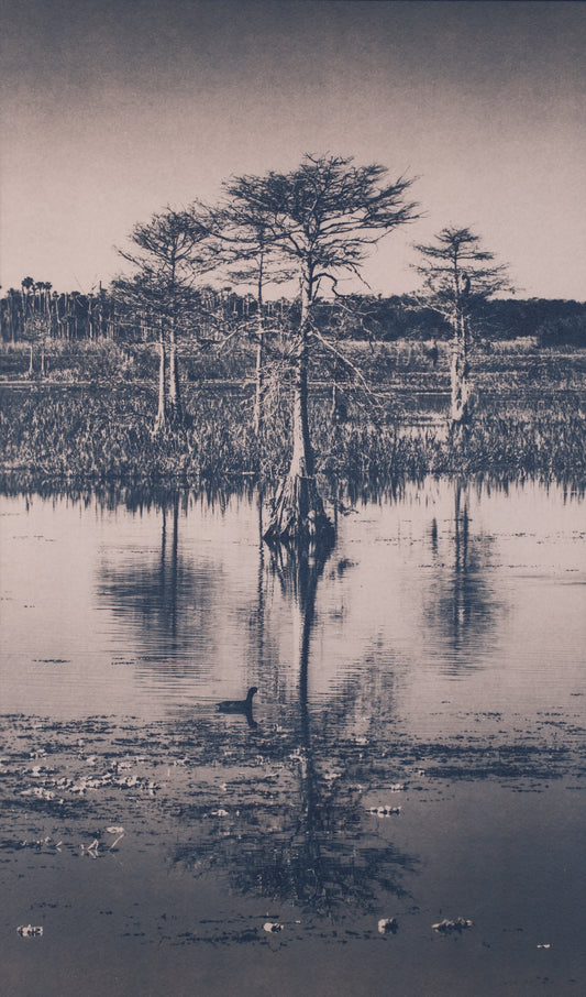Kratt - Wetland Reflections