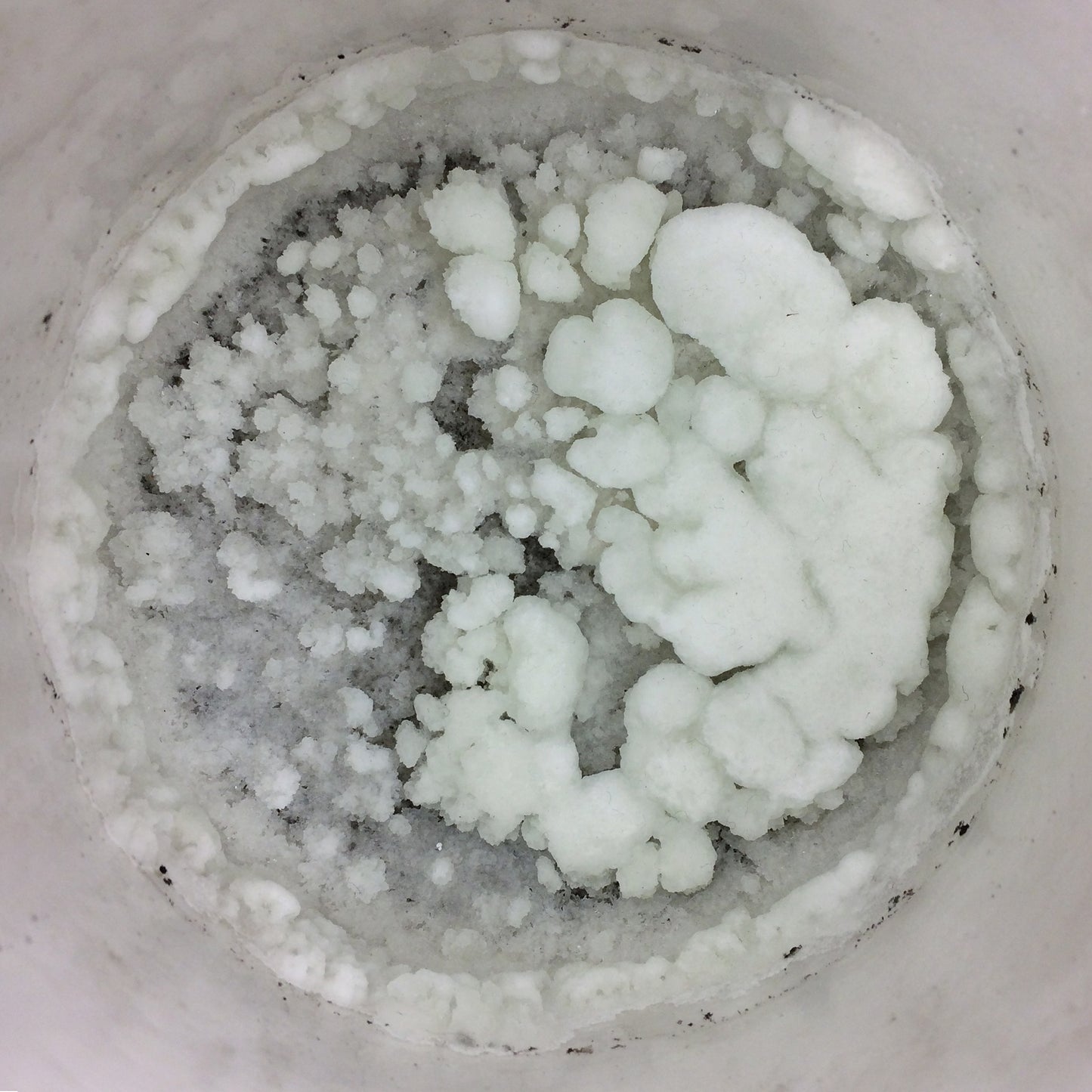 Larson-Voltz - Sodium B