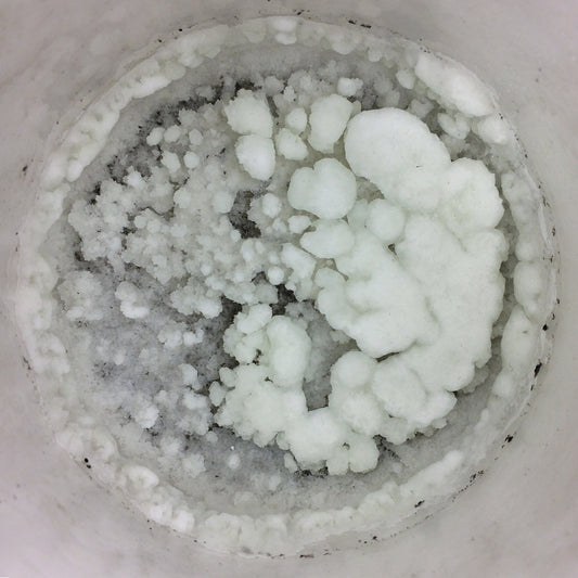 Larson-Voltz - Sodium B