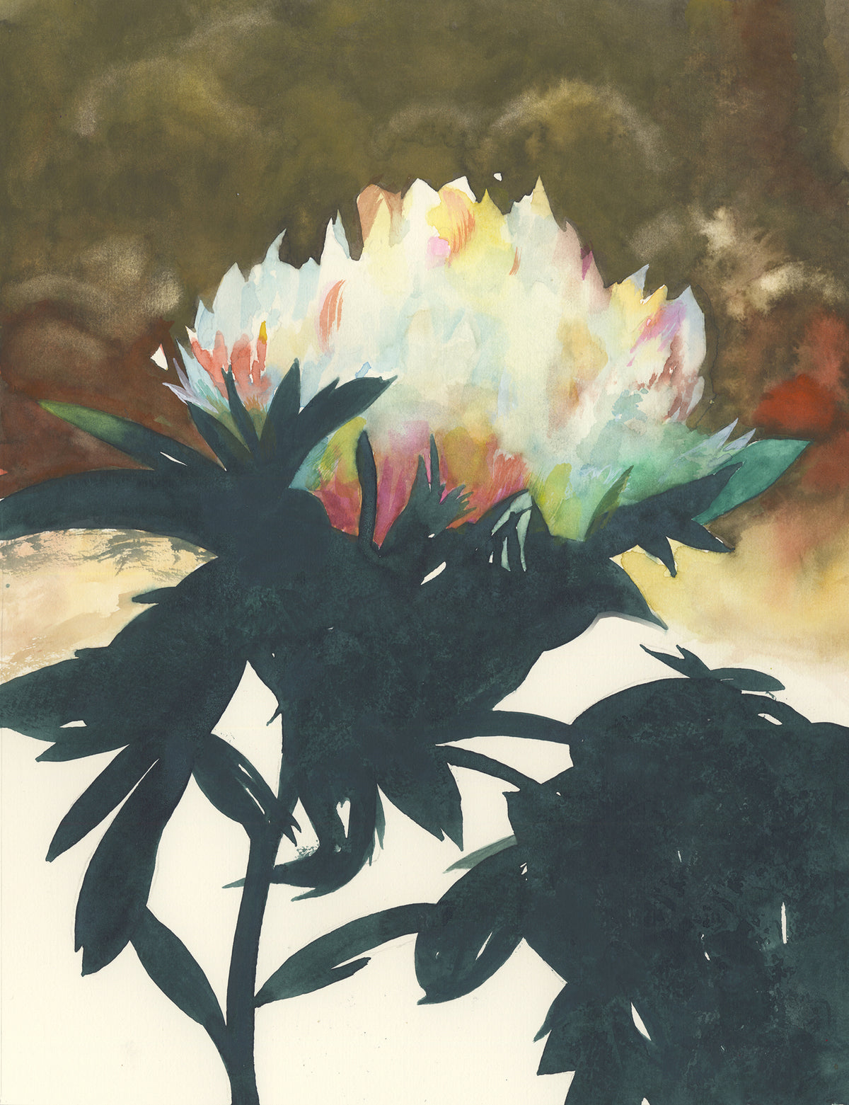 Peony-Jake Marshall